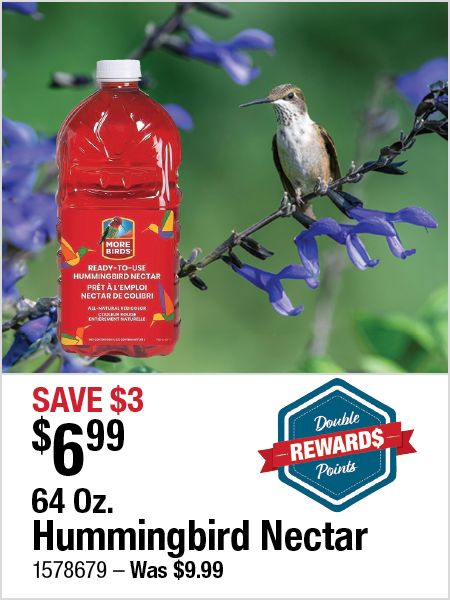 Hummingbird Nectar